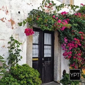 YPT Golden Visa & Investment