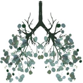 Breathe Life Into You - Somatic Integrative Trauma Therapy - Breathwork - Retreats