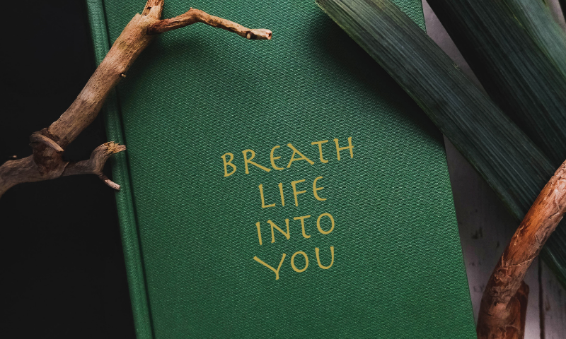 Breathe Life Into You - Somatic Integrative Trauma Therapy - Breathwork - Retreats