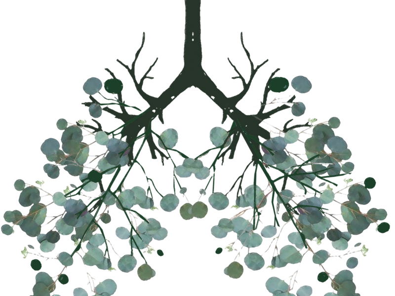 Breathe Life Into You - Somatic Integrative Trauma Therapy - Breathwork - Retreats