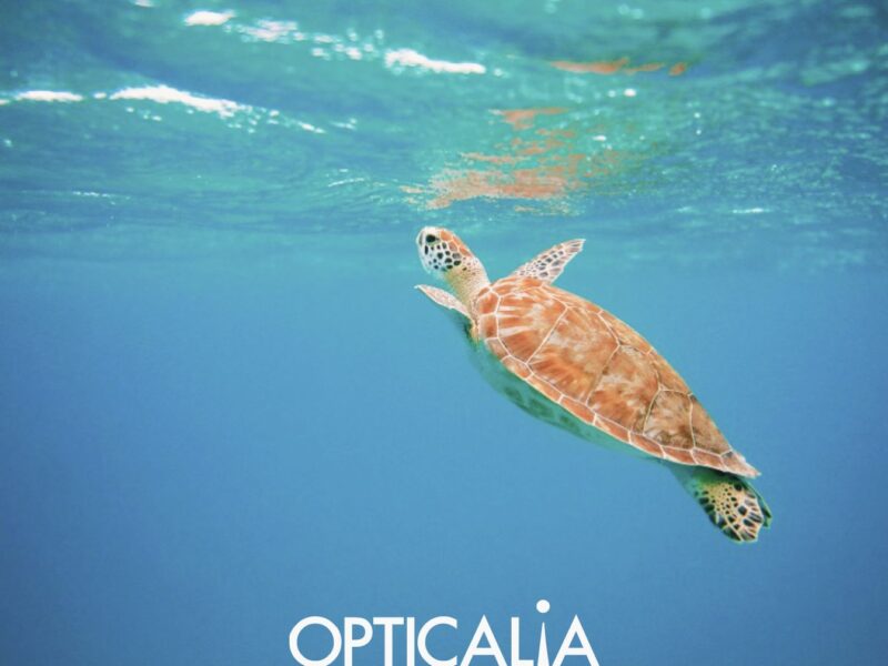 Opticalia