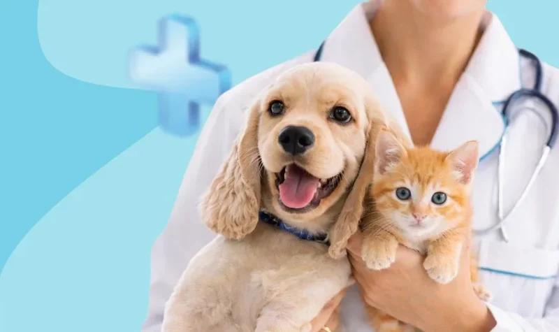 Consultório Veterinário ZU