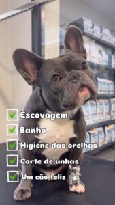 Groomy - pet spa & shop