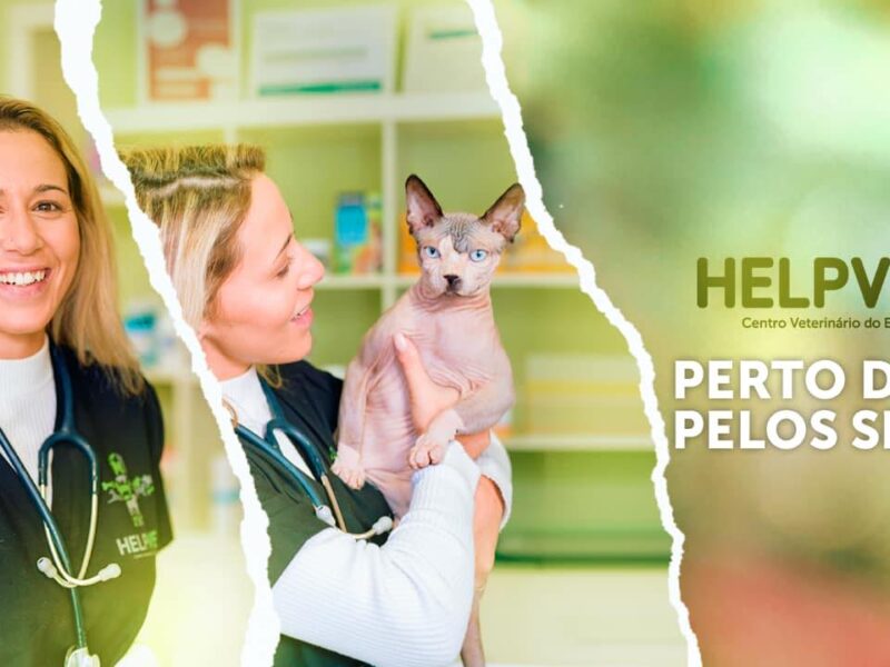 HelpVet - Centro Veterinário do Estoril