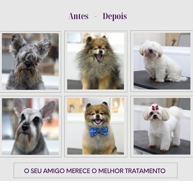 Maison do Pelo - Centro de Estética e Boutique Animal