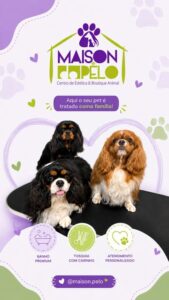 Maison do Pelo - Centro de Estética e Boutique Animal