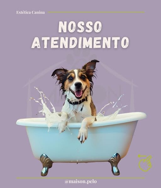 Maison do Pelo - Centro de Estética e Boutique Animal
