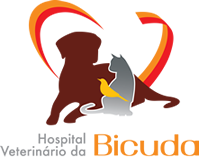 Veterinary Hospital Bicuda