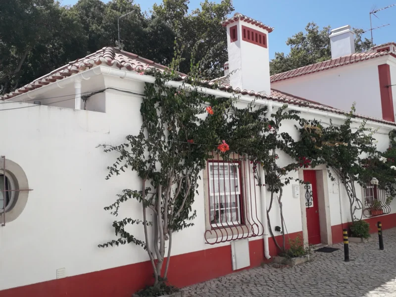 Consultor Imobiliário Cascais John Redin