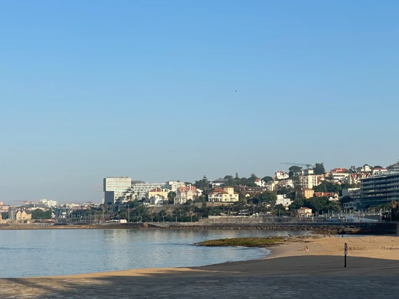 Consultor Imobiliário Cascais John Redin