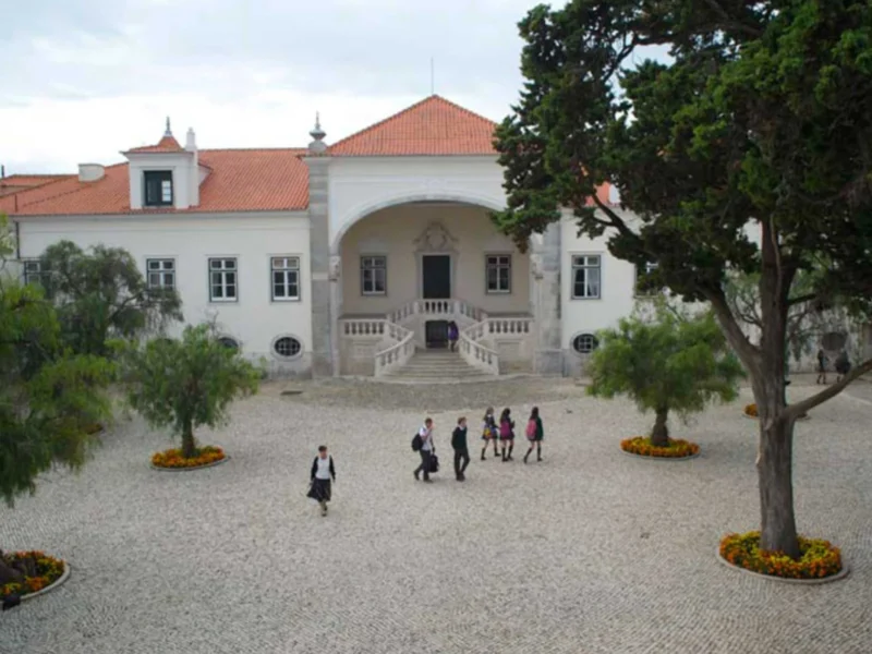 Consultor Imobiliário Cascais John Redin