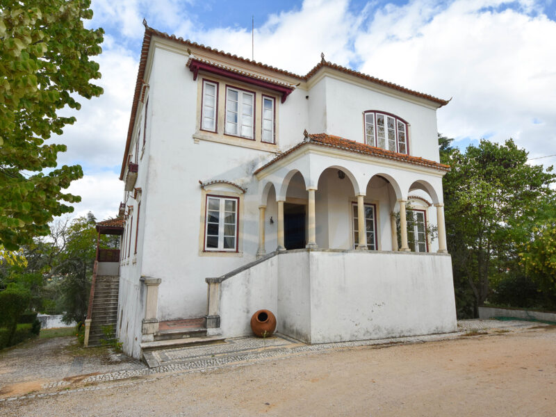 Dohler Homes Real Estate