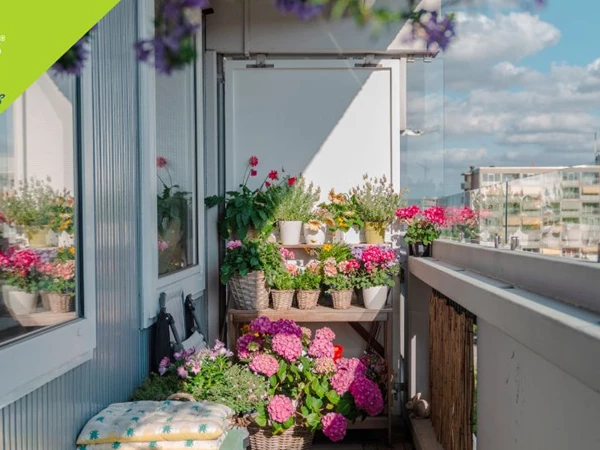 Imobiliária Veigas Carcavelos