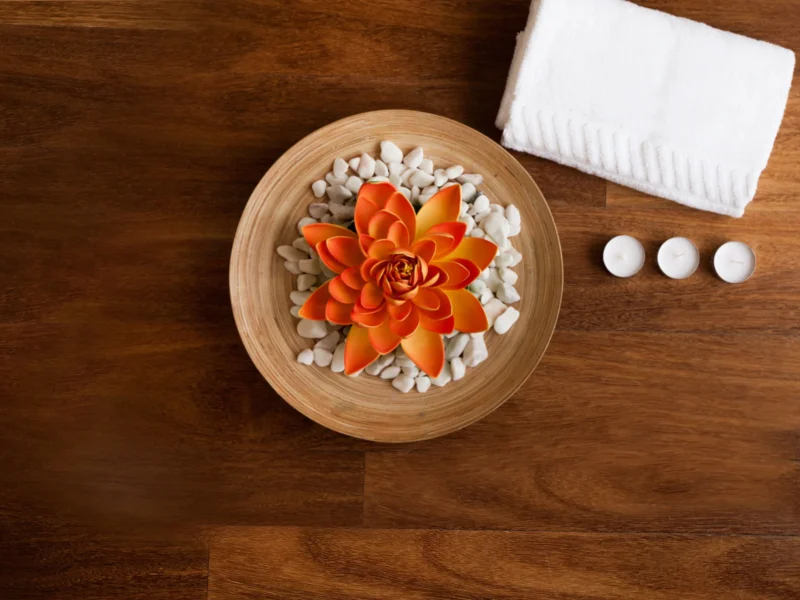 Brahmi Wellness