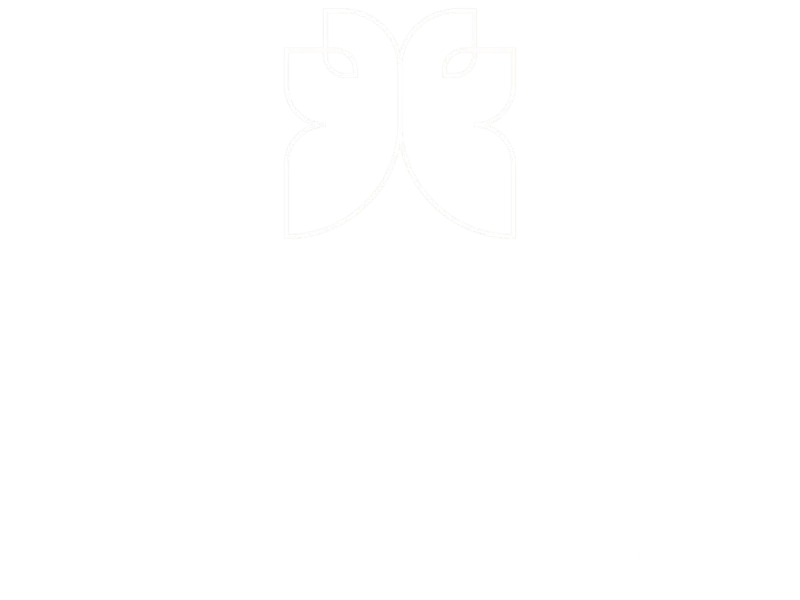 THE SPA EXPERIENCE