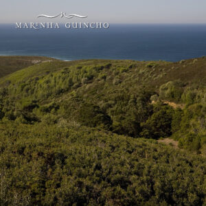 Marinha Guincho Living