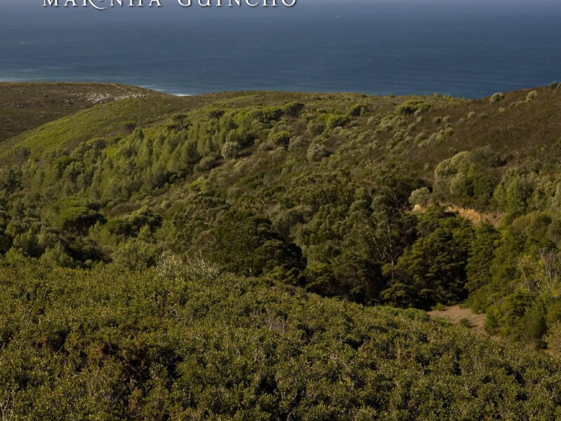 Marinha Guincho Living