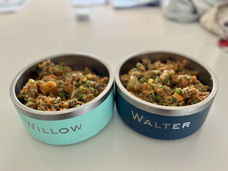 Pawganic PT - Homemade Dog Food