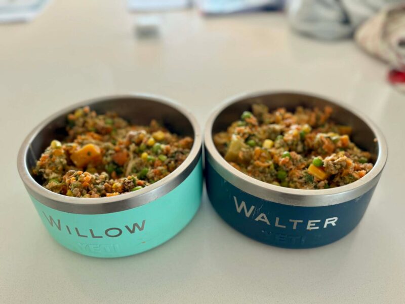 Pawganic PT - Homemade Dog Food
