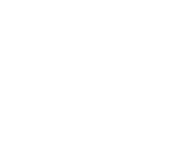 Polo 1921