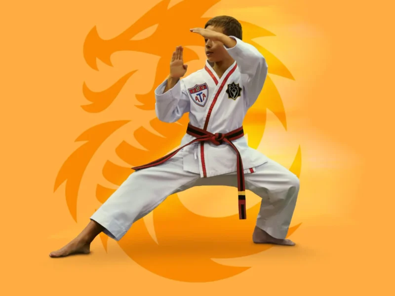 ADN Artes Marciais