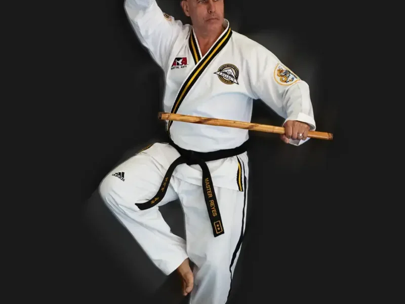 ADN Artes Marciais