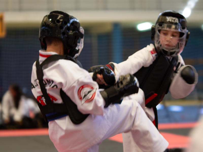ADN Artes Marciais