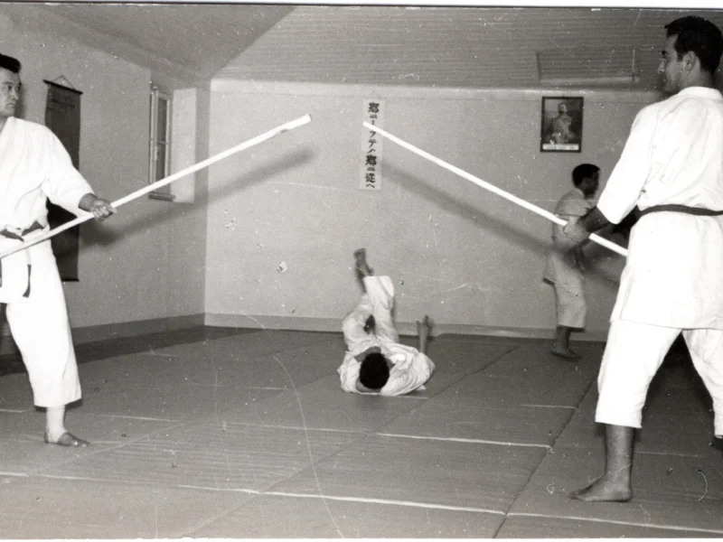 Aikido Parede