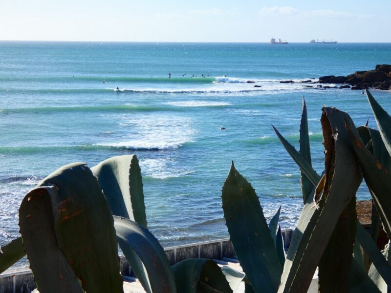 Art Of Surf School Estoril