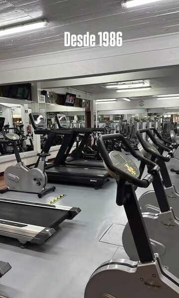 Bodyform Gymnasium