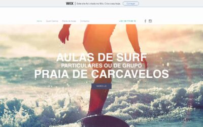 DL Surf School