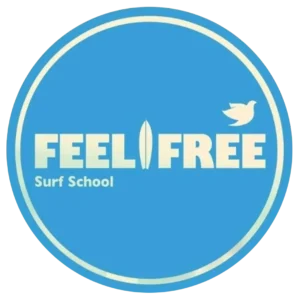 Feel Free Surf School - Carcavelos & Guincho // Classic Surf and Longboarding School // Beginners to Advanced Surfers