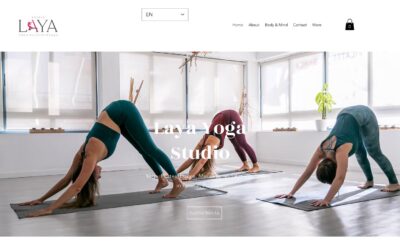 Laya Studio