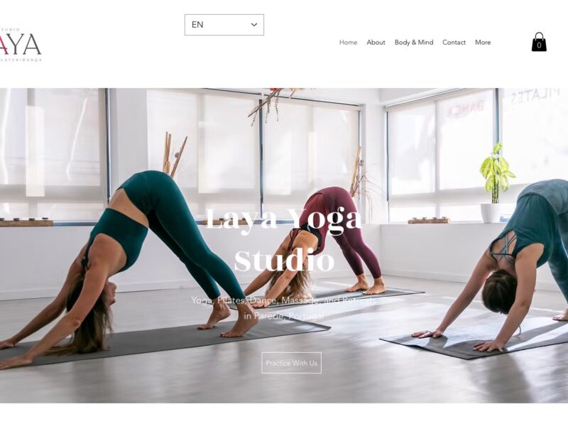 Laya Studio