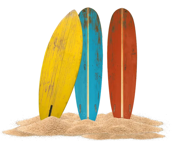 Linha Surf School