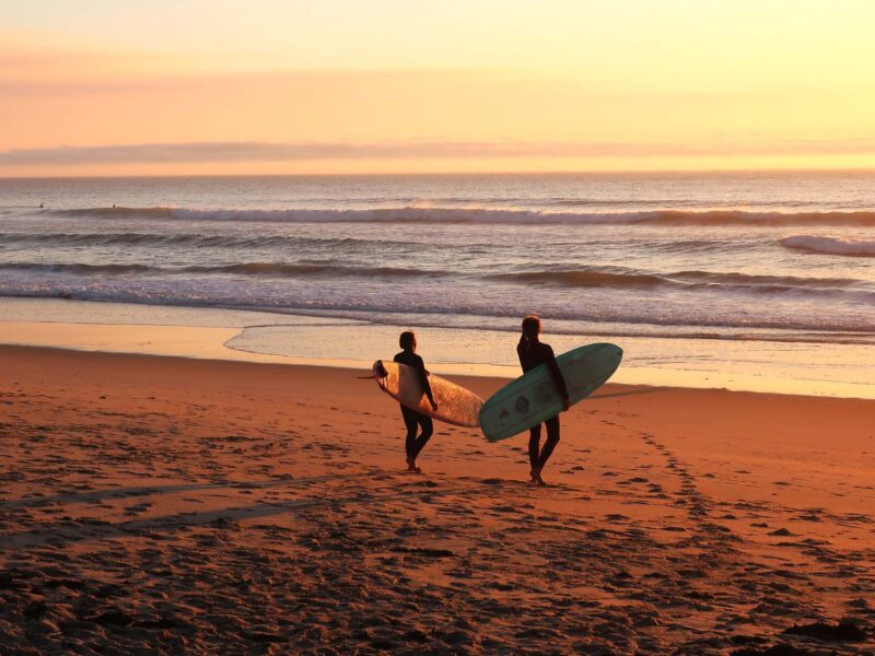 Moby Dick Surf School