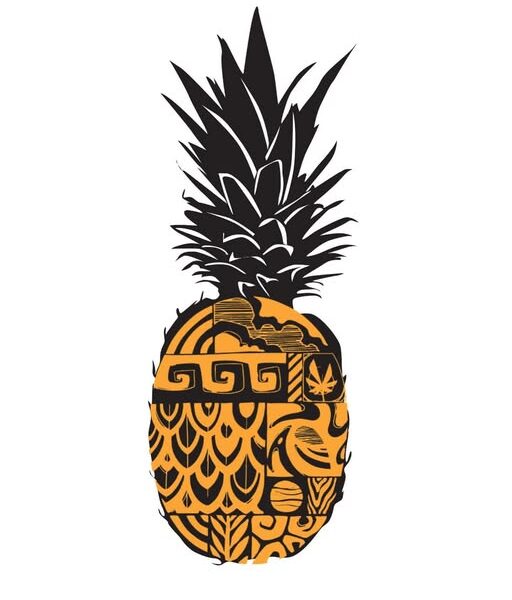 Pineapple Surf School