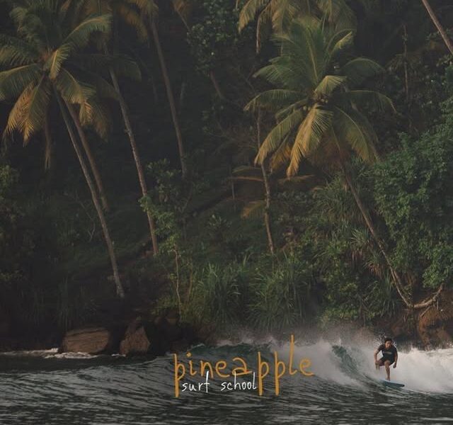 Pineapple Surf School