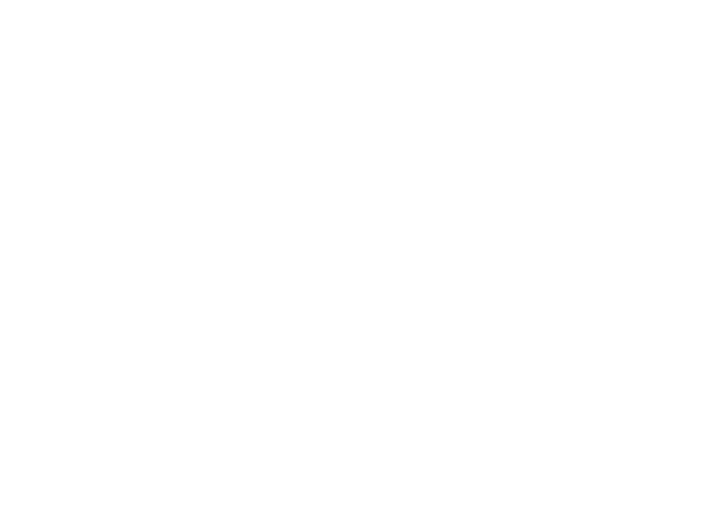 Roots Surf Camp