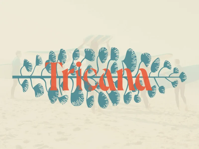 Tricana Surf Experience