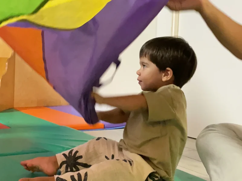 Bumblebee Play Center