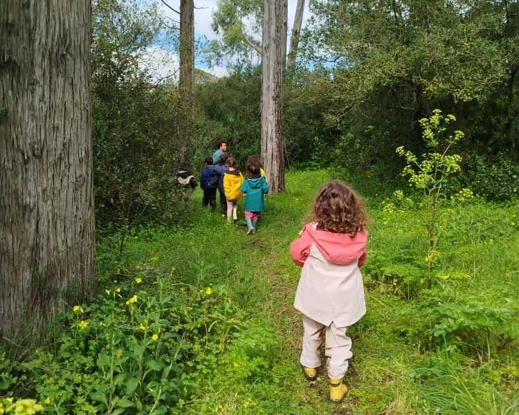 Escola Lá Fora Estoril - Forest School