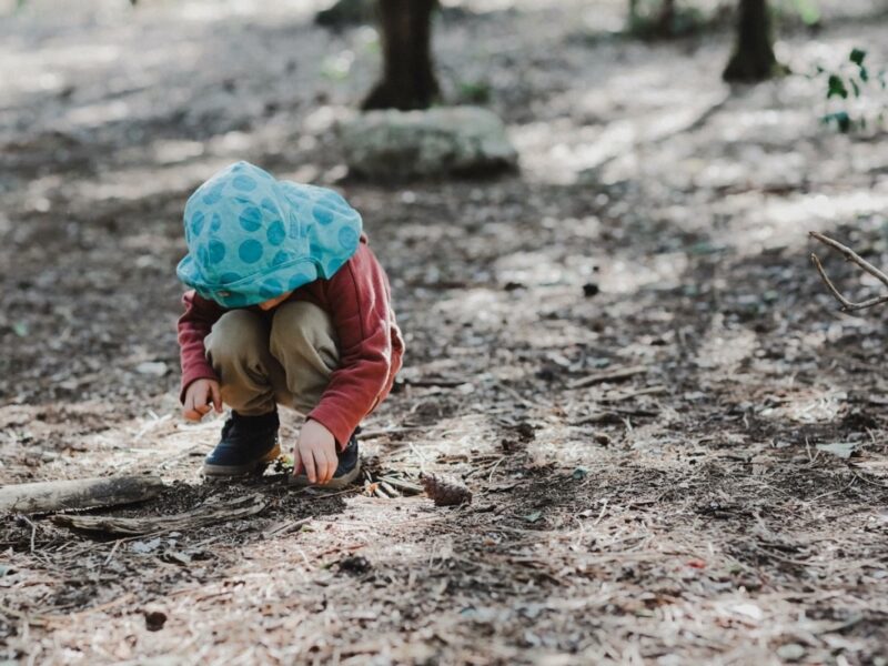 Escola Lá Fora Estoril - Forest School