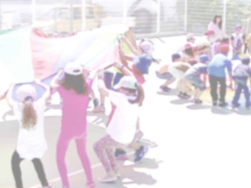 IDEIA - Instituto p/ o Desenvolvimento Educativo Integrado na Acção