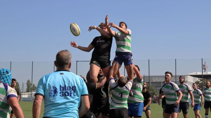 Cascais rugby